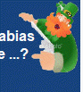 colegio_san_patricio006002.gif